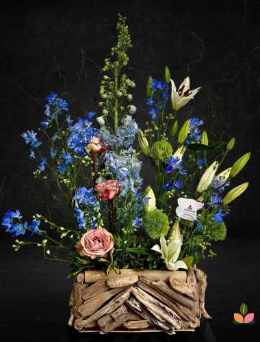 Forest Poem-Orman Şiiri