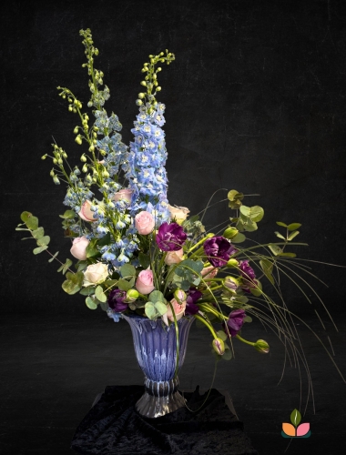 Veloura Blooms – Kadifemsi Çiçekler