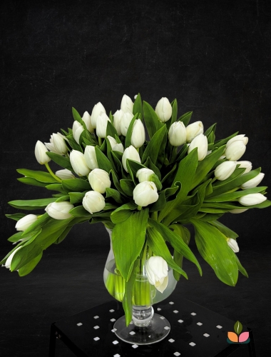 Saf Beyaz Lale Vazoda