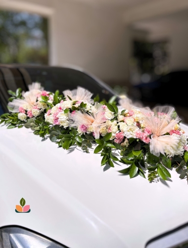  Aracın Hazır, Tarzın Tamam!